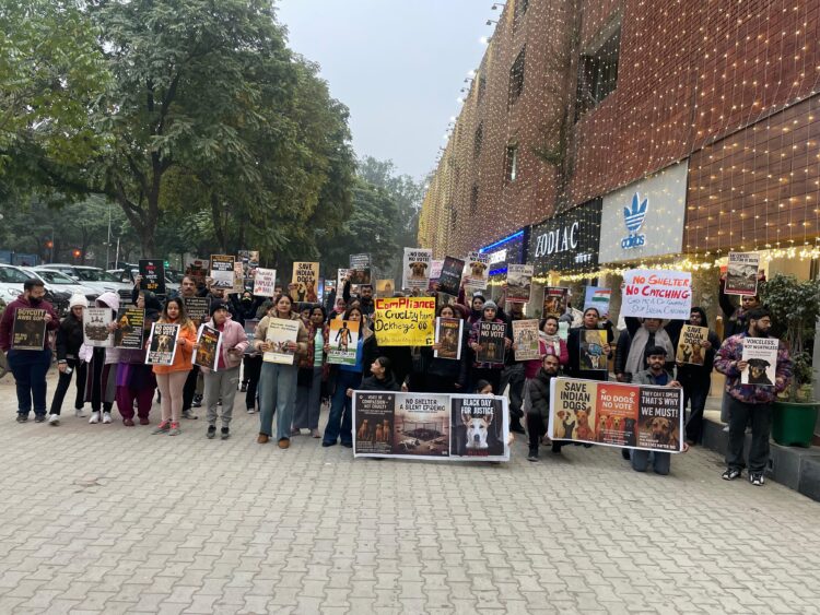 Citizens Protest Alleged Illegal Dog Catching in Chandigarh