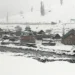 Rain, snow lashes J&K; day temperature improves in Srinagar