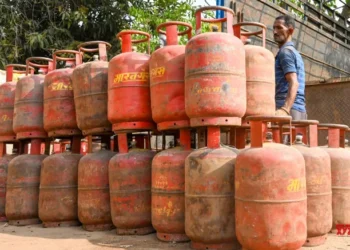 Experts call for easing pressure on LPG demand as Induction cooker makers’ shares rise